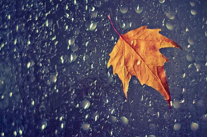 autumn-photography-alex-greenshpun-8