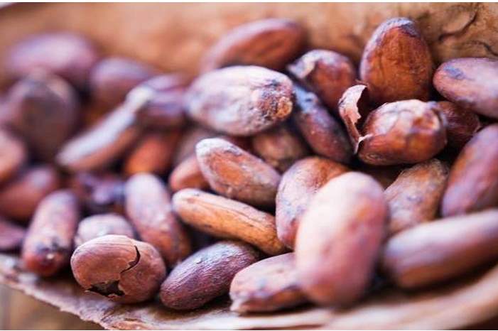 5bab259b95a59704138b45b2