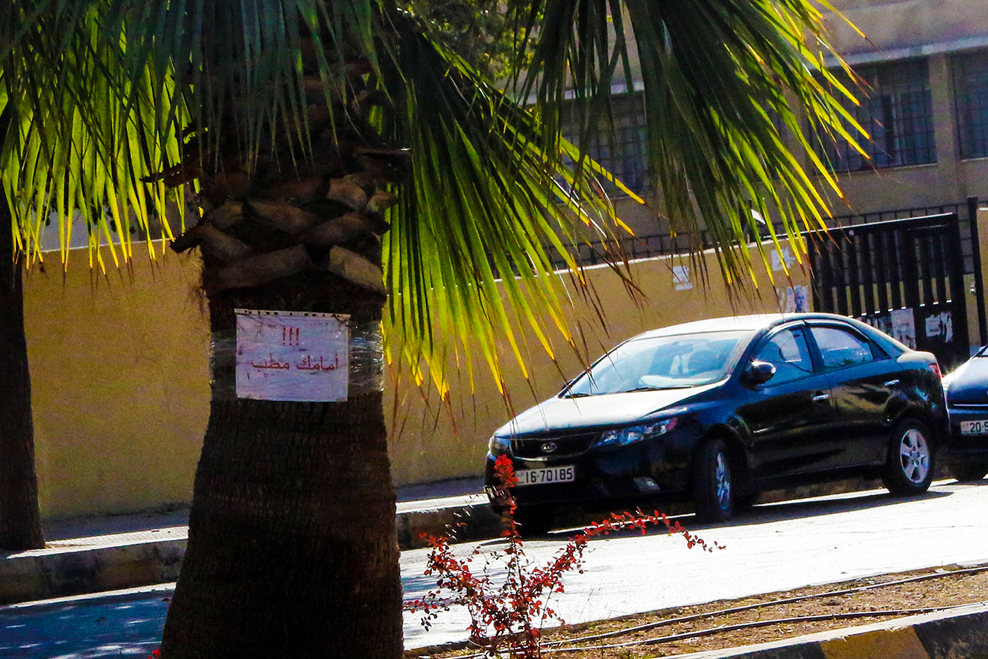 تمهل .. أمامك مطب