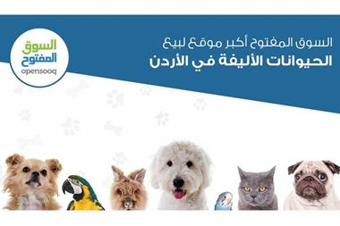 بلى سكرتير تخريب  السوق المفتوح أكبر موقع لبيع الحيوانات الأليفة في الأردن - الوكيل الاخباري