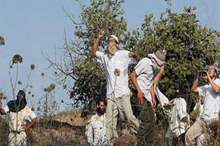 image-MQQ983LZAFC7Q144