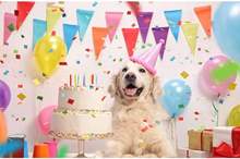 News-P-404289-636746853036443268