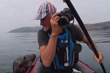 5bbdbea6d437504a218b45b3