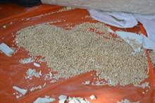 efc0032e-55b5-4ae8-9236-1284a77567f2