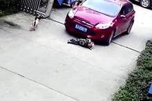 1cec214e-1ba7-4383-be6c-79b59f110834_16x9_1200x676