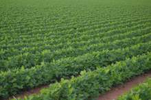 625a0fdce6d115252376e7e8290bdb80