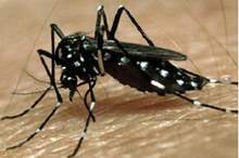 436x328_97442_233968