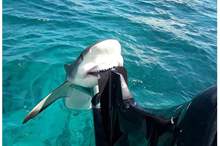 41631509_2622642431294818_6668212700163604480_n