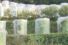 5bbdbd06d43750a01f8b45cf