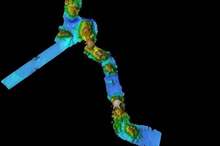 5bbe0ea1d437504d5a8b45bf