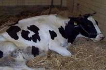 5adbab13f25d2a5778bb97e1bbeae9aa92