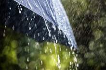 1020181103740193255932