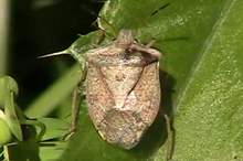 5bbde790d43750081f8b4613