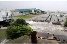 5bbf446e95a597243c8b456e