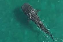 5bc07df995a5970f178b45b2