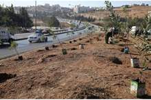 8917a1b39337c9e22ba757819ee53855