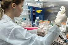 5bc08b2cd43750be118b45d3