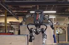 5bc476d395a597e35b8b45a5