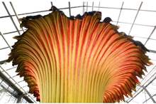 5bc4e602d437505f458b4632