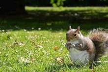 5bc5b17e95a59797448b458d (1)