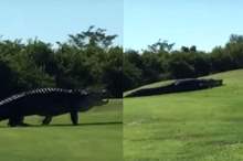 5bc6f40095a59733738b45f7