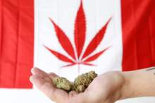 5bc7073afc7e93e97f8b4583