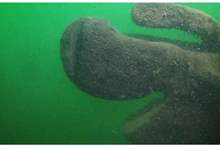 5bc6085b95a597a15c8b45b0