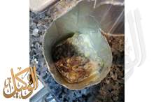 44332045_555105751594126_7594160688008790016_n