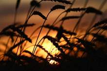 5bc9d7a4d437501c3e8b4607