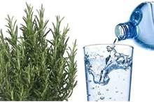 5bc858c895a597c45b8b4629