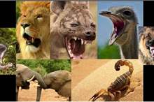 46b5f109-645c-49f1-9d01-cf3e0d4b7721_16x9_1200x676