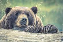 5bb1e29d95a597e6608b45de