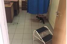 42878420_1940634622689192_1900031336328986624_n