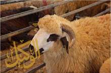 93ea590f-863e-46d9-995a-aa0403fbba4c