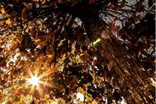 44278052_279077142740059_5528446444161204224_n