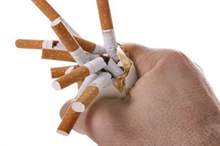 5bc99e2d95a597604e8b462c