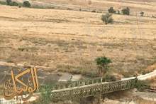 44700978_2778356925529509_2578175778667626496_o