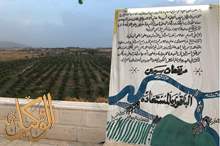 44480977_2778356878862847_8224719358018977792_o