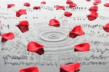 5bcdbb9ed4375034698b4570