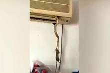 5277848-6302629-image-a-28_1540206985824