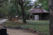 5272734-6302211-image-a-2_1540194372425