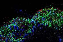 24d56863-64e8-4b34-b4f3-697bc315037c_16x9_1200x676