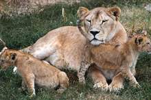 5bcefd6f95a597cd388b45ce