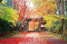 News-P-406962-636759030749204211