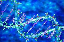 5bcf438d95a59769618b4575