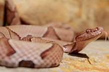 5bd028dc95a597ad638b45fe