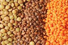 5bcef730d4375055088b461d