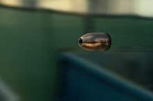 e3590c53b2523fc3bf3cc8dc97b08a74