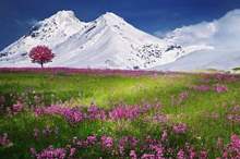 5bd30c8e95a597f50d8b45c8