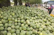 5bd71fa895a5976c638b456f